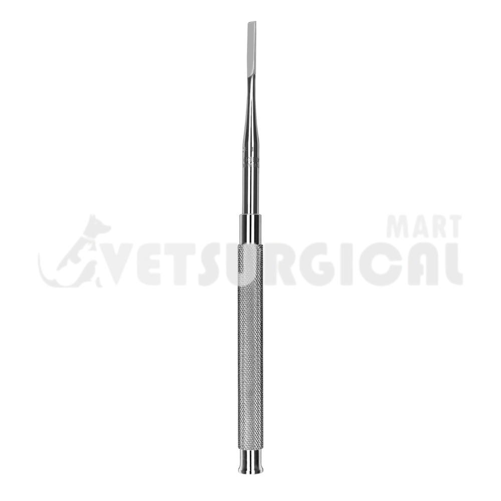 resized_1 Gardner Bone Chisel