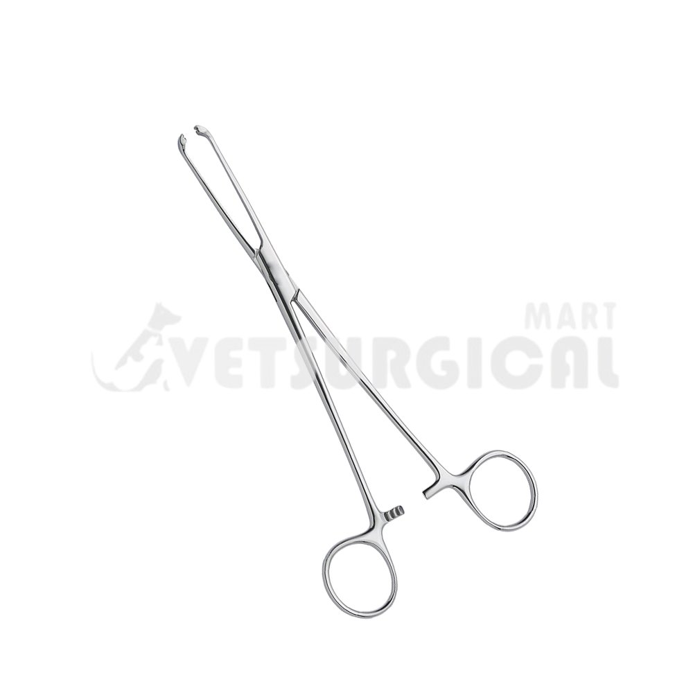 resized_Allis Intestinal Forceps