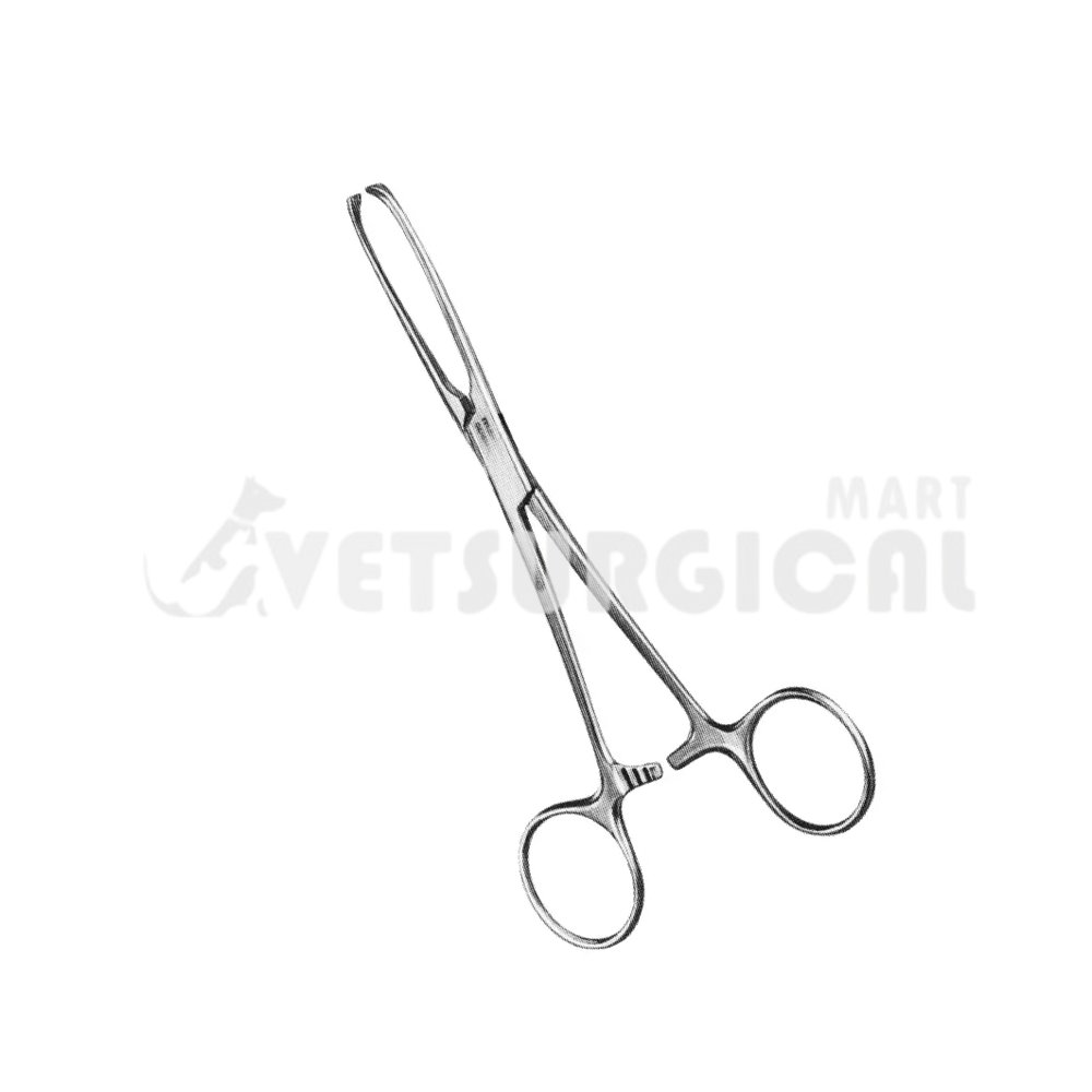 resized_Allis Tissue Forceps 6″, 3×4 teeth