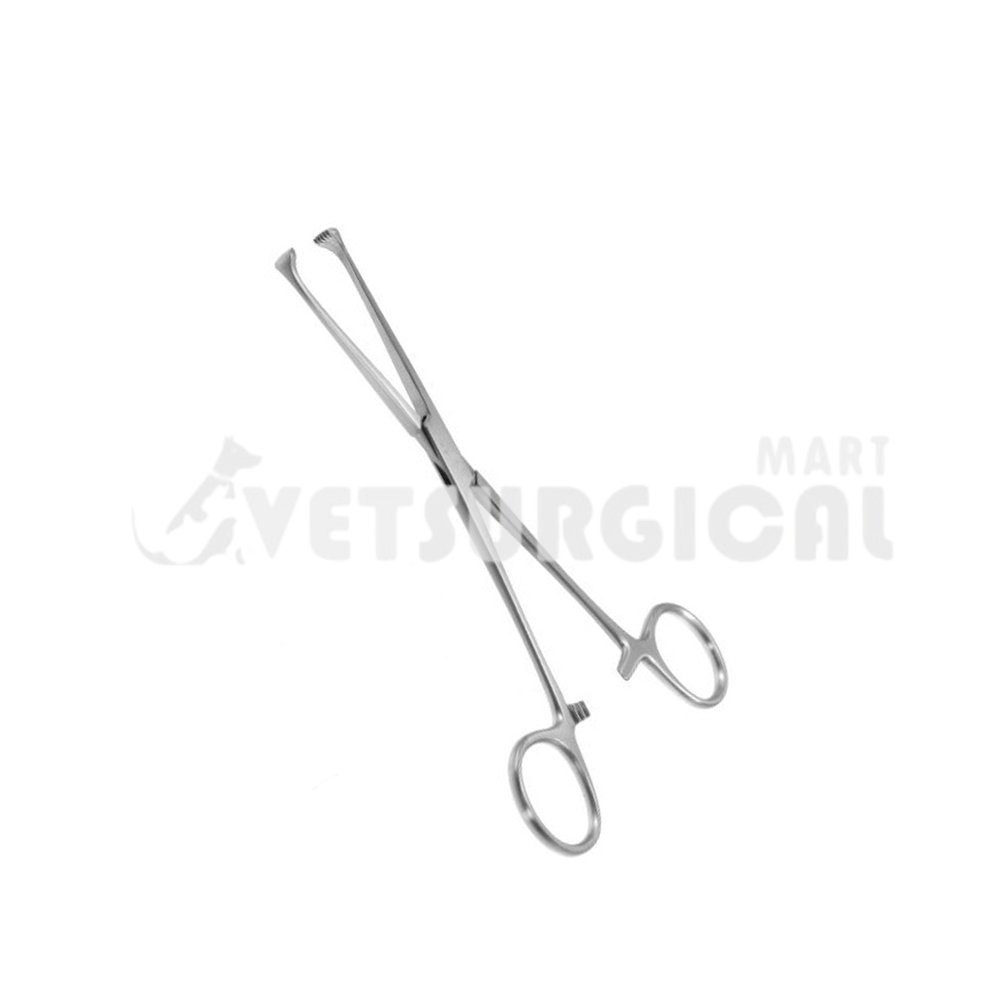 resized_Allis Tissue Forceps 6″, 5×6 teeth