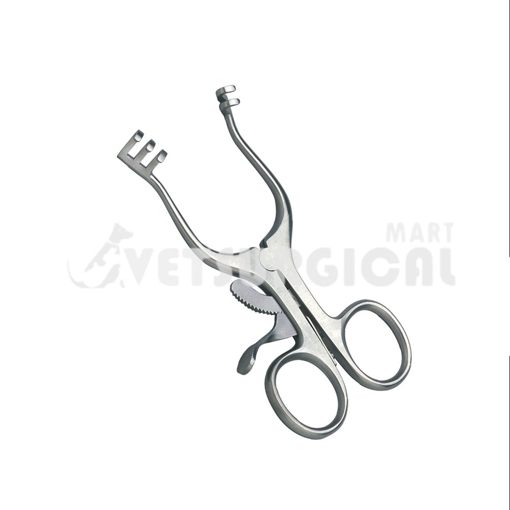 resized_Weitlaner Retractor 10″