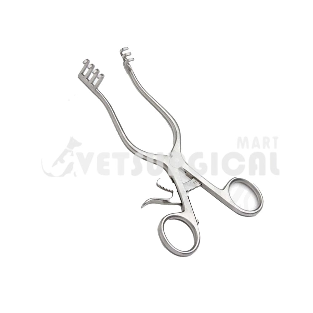 resized_Weitlaner Retractor 5×6 prongs