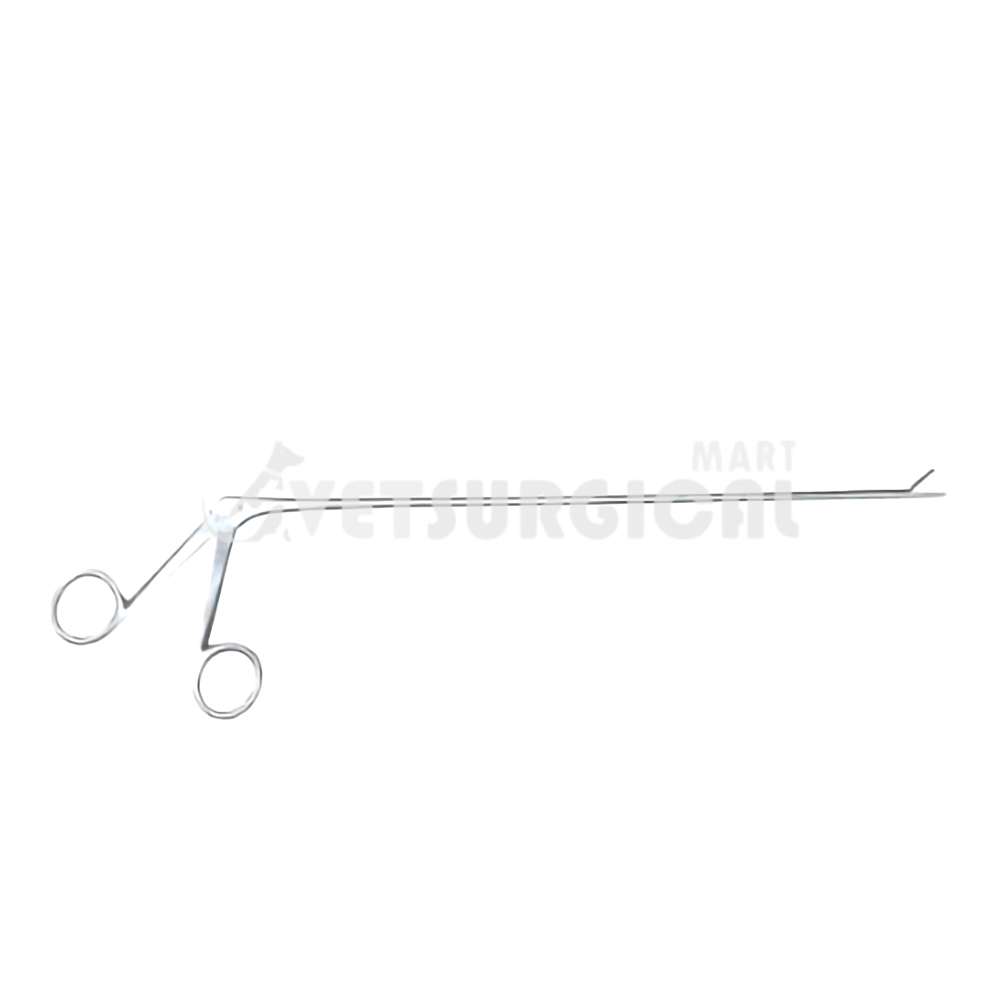resized_processed_Serrated-Jaw Alligator Forceps