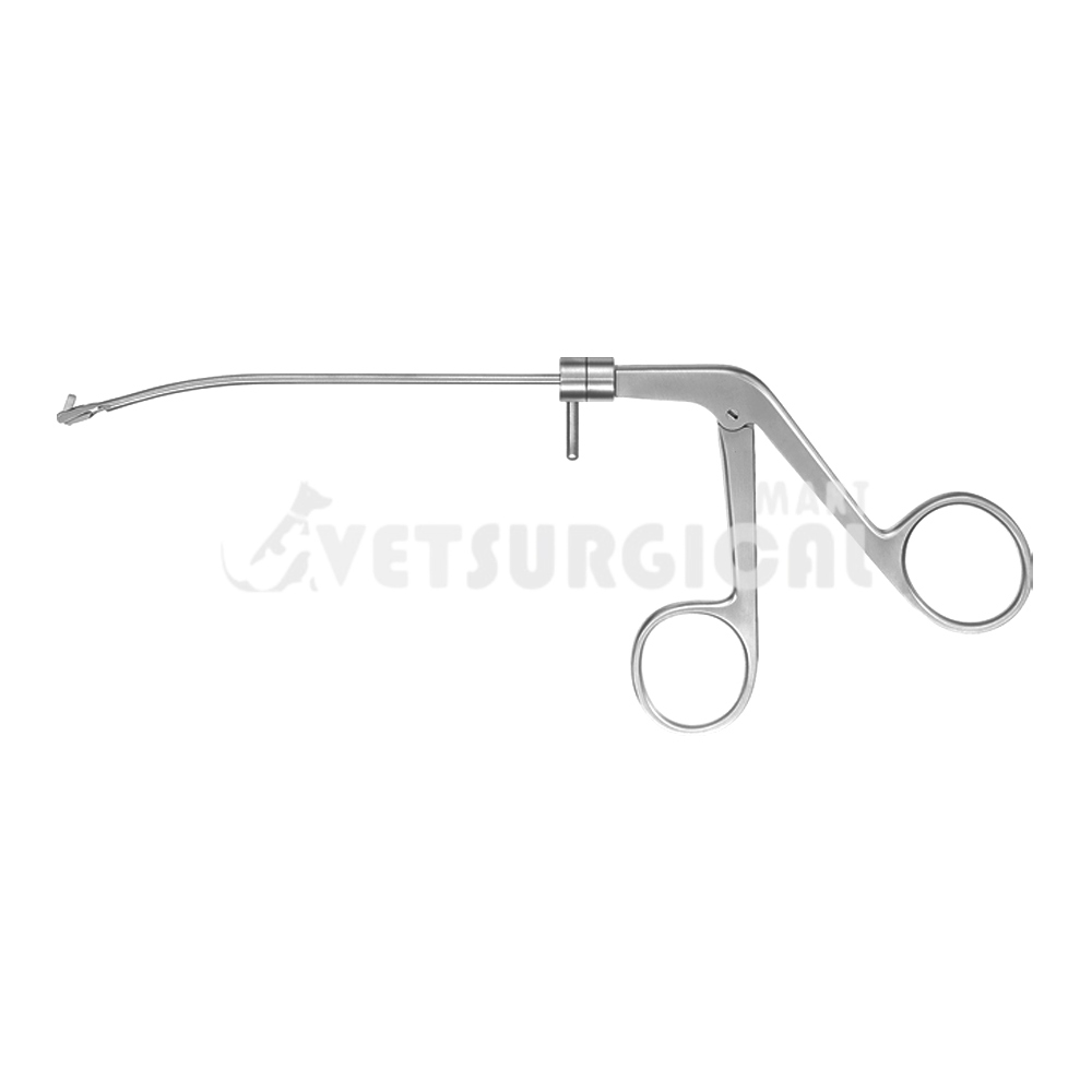 resized_processed_Wilde Alligator Forceps