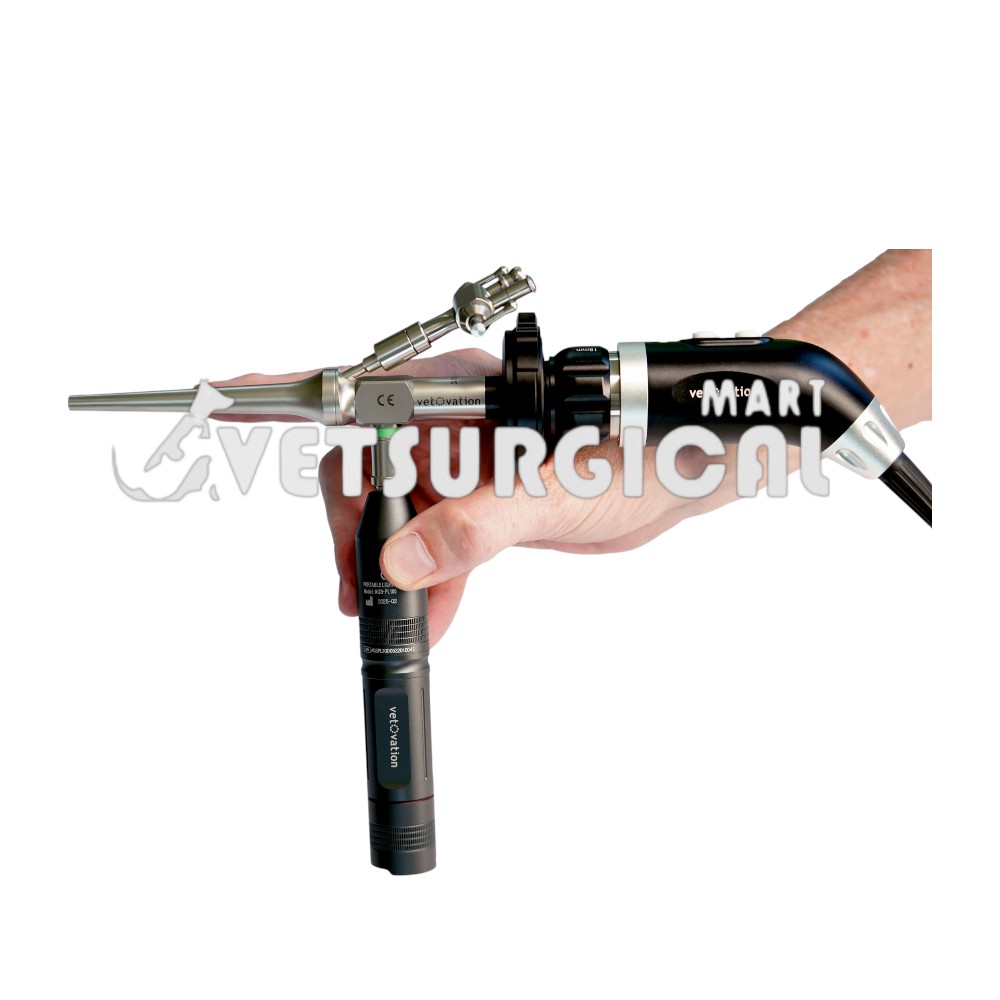 transparent-Photoroom-Photoroom (15)