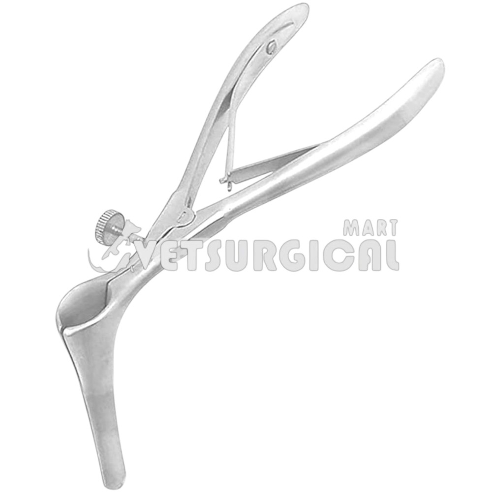 transparent-Photoroom-Photoroom (22)