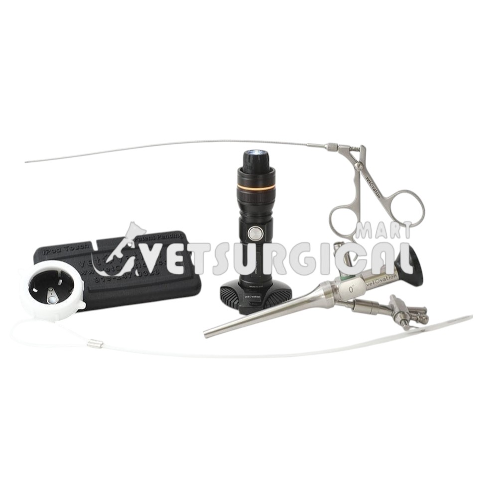 transparent-Photoroom-Photoroom (25)