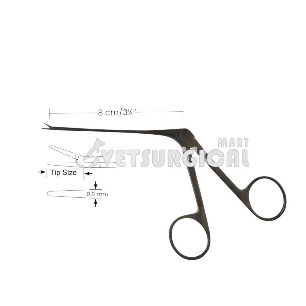 transparent-Photoroom-Photoroom (8)